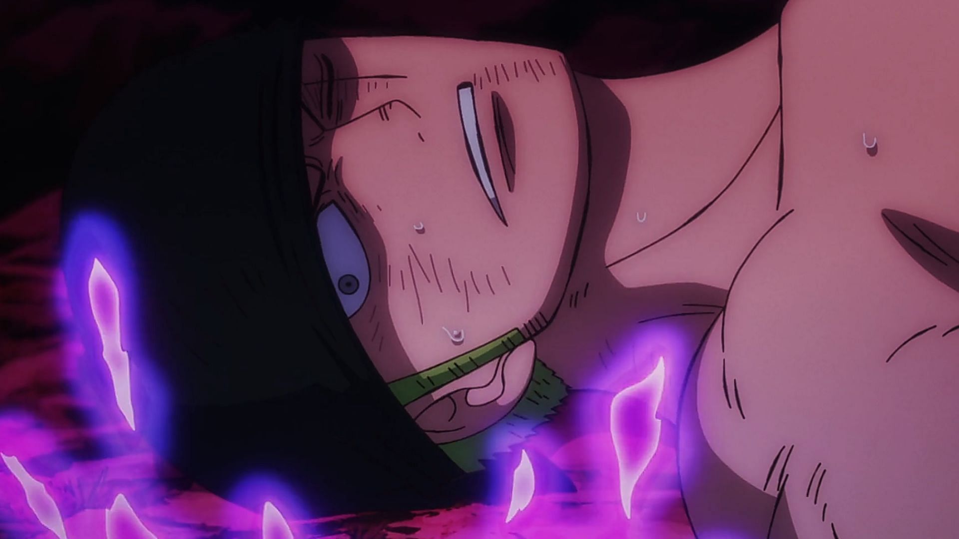 Zoro as seen in the anime (Image via Toei Animation)